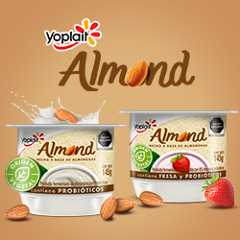 Yoplait Almond