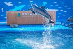 仙台うみの杜水族館