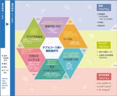 Overall curriculum overview