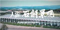 文成：石斛景观解锁农旅养生新玩法