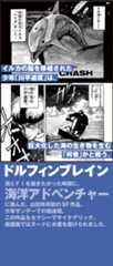 ドルフィンブレイン