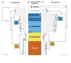 Poelstra_et_al_2022_new