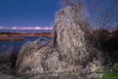 グループ展「Traveling 12 旅しないカメラ」参加