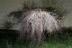 グループ展「Traveling 13 旅しないカメラ CHINA」参加