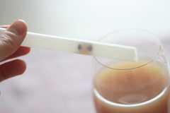 yukitchenpandaboba11