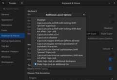 Caps2Esc_Linux_GnomeTweakTool