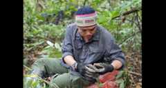 Duc-Anh Nguyen joins ZooKeys as a Subject ...