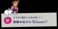 どうぶつ達がこんなに近い！距離の近さにワンダー