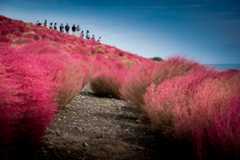 f:id:cafewriter:20141229013054j:plain f:id:cafewriter:20141229013054j:plain