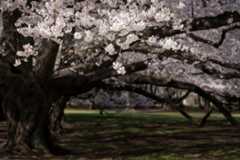 f:id:cafewriter:20141229015154j:plain f:id:cafewriter:20141229015154j:plain