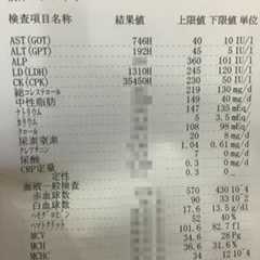 f:id:nakazye:20151109000726j:plain f:id:nakazye:20151109000726j:plain