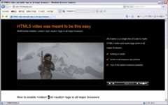 サイトのキャプチャ