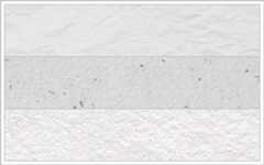 サイトのキャプチャ