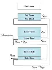 Figure: Three Compartment Model Schematic