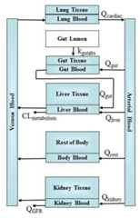 Figure: PBTK Model Schematic