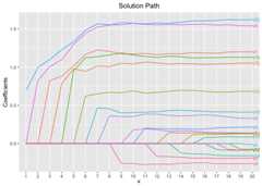 solution path plot for single model fit using L0 penalty for binary data