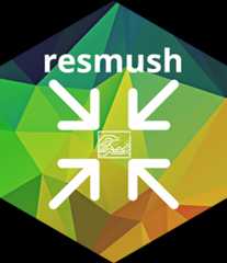 resmush website
