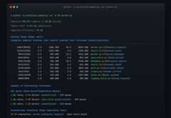 Tachyon pstats terminal output