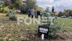 Kod Štranda 16 stabala  Kod Štranda 16 stabala
