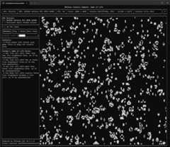 Console Compute on Windows