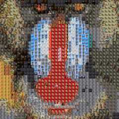 baboon_imageified baboon_imageified