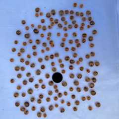 sample2 size_it result