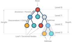 tree data structure properties