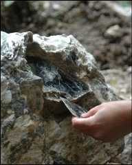 Mica, feldspar and quartz (Alex Glover)