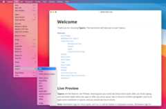 Screen Shot 2021-01-18 at 22.49.03