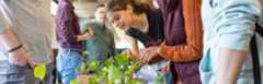 Students look at plants to bring home.