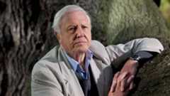 Sir David Attenborough. Photo: Supplied Sir David Attenborough. Photo: Supplied