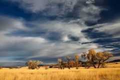 Partir chasser en Patagonie