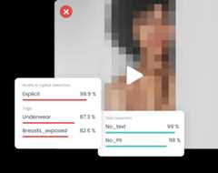 Moderation | Imagga Technologies