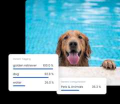 Recognition | Imagga Technologies