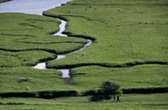 Angleterre, Sussex Angleterre, Sussex