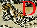 decorated initial D