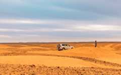 gallery 03 gallery 03