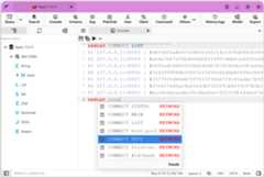 Kangaroo console view