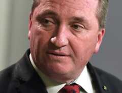 豪副首相、二重国籍で議員資格喪失 連立政権が下院の過半数失う