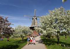 Family at Windmill Island during Tulip Time in Holland, Michigan