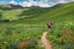 Senderistas en el sendero West Maroon Trail cerca de Crested Butte, Colorado