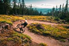 Biker on a trail at the Timberline Bike Park in OregonCredit: Timberline Bike Park