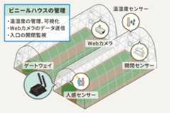 about_Armadillo_usecase-06