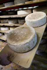 Image may contain Food Bread Confectionery Sweets Human and Person