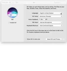 Sierra Siri language