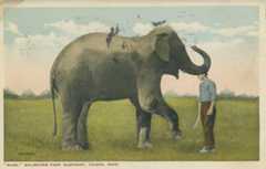 Къде в Уикипедия да търсим новини за всичко, случващо се в Уики?