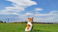 【最大50%OFF】Kindle本 ビジネス書キャンペーン実施中。拙著「お金は寝かせて増やしなさい」も対象