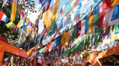 新NISA「成長投資枠」で注目すべきあるモノとはいったい何か?