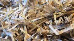 インチキインフルエンサーの“お金初心者狩り”情報とその互助会に要注意