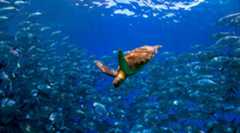 自分のペースで資産を築くインデックス投資術